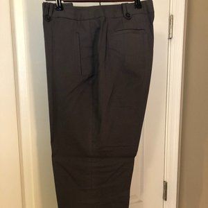 Ann Taylor Loft Capri / Ankle Pants